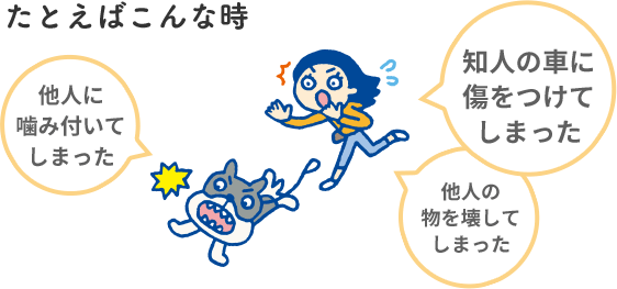 たとえばこんな時 他人に噛み付いてしまった 知人の車に傷をつけてしまった 他人の物を壊してしまった